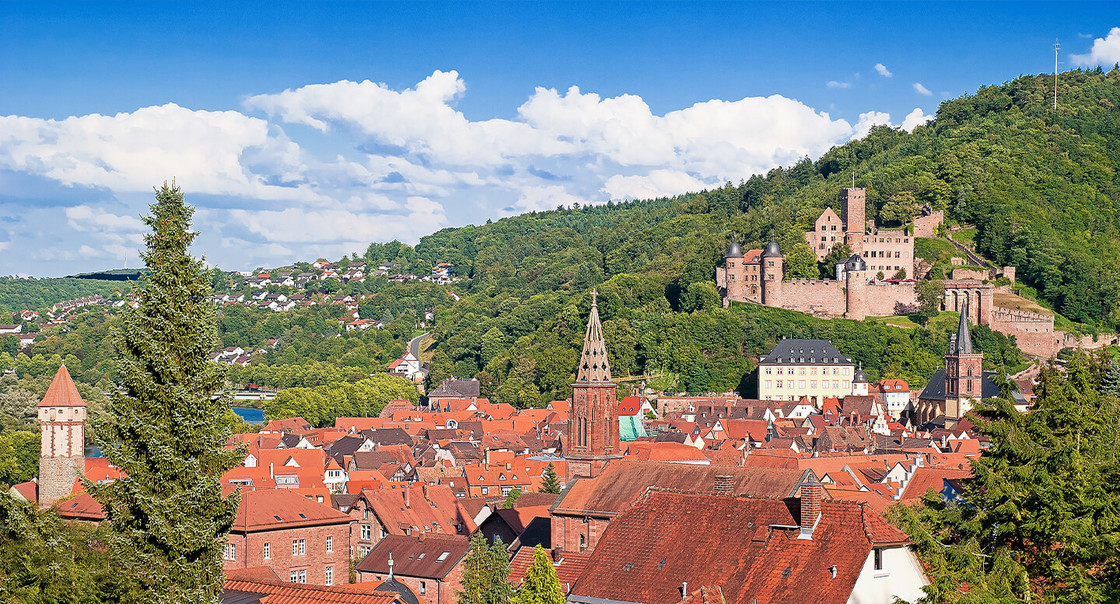 Wertheim Burg Blick auf Haeuser und das Gruene